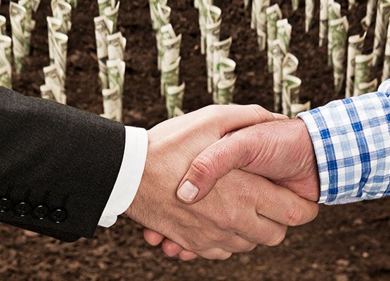 Hand shake with money sprouts in the background