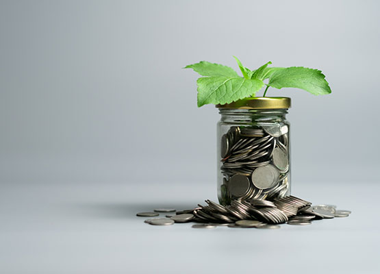Coins in a jar with new leaves growing out